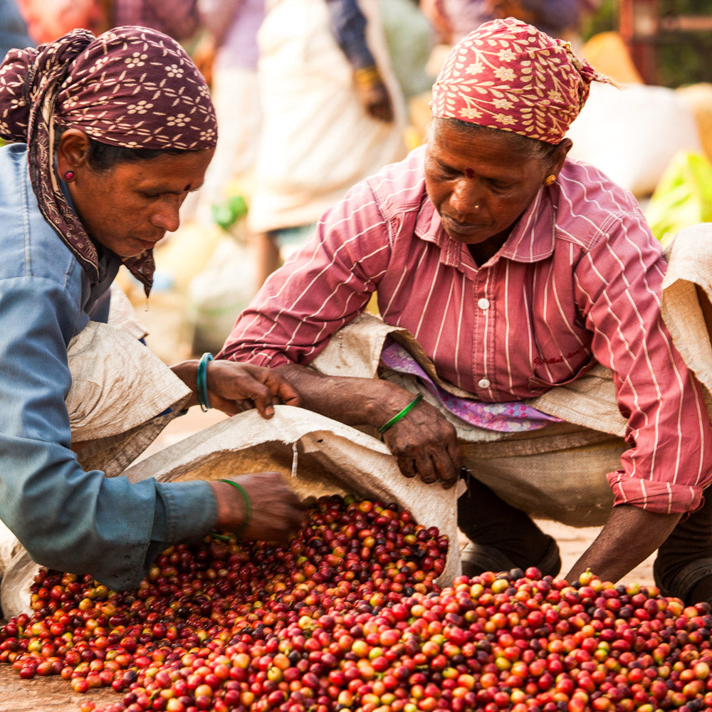 india palthope estate Kaffee schwarzwild Kaffeerösterei