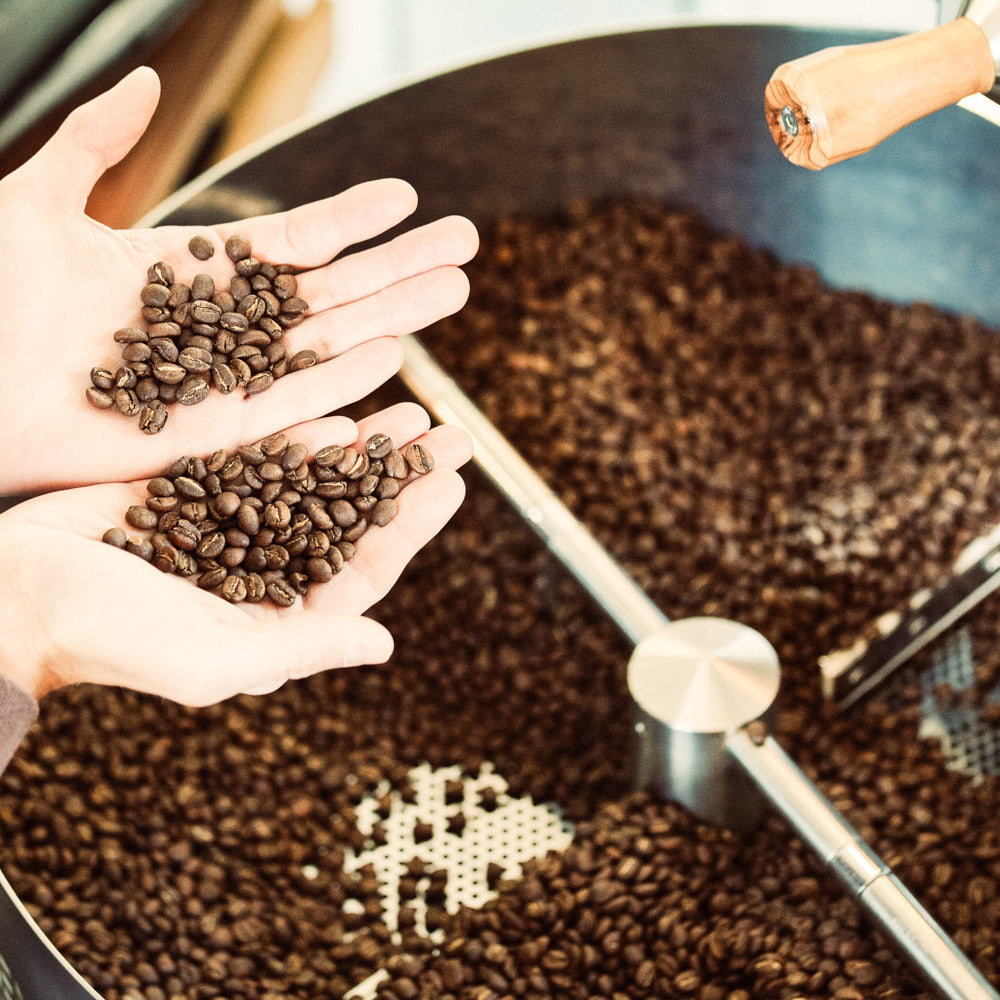 sensorik_seminar_schwarzwild_kaffeeroesterei_freiburg
