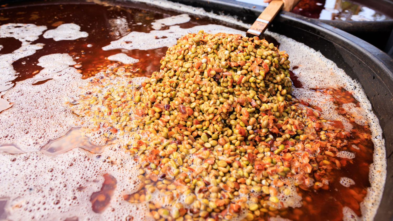 Kaffeeaufbereitung erklärt: Natural, Washed, Honey & Fermentation – Methoden, Ländertypik und Tassenprofil