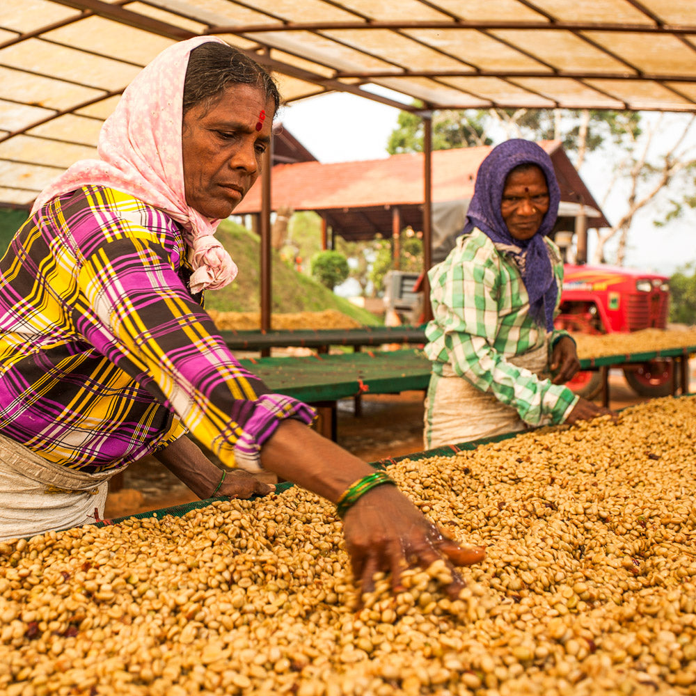 Herr Rüdiger espresso Röstung schwarzwild kaffeerösterei indien