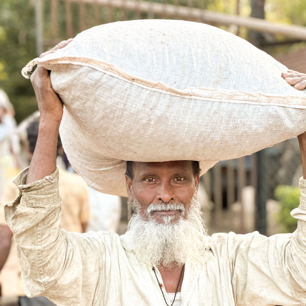 Indien_Monsooned_Malabar_Schwarzwild_Kaffeeroesterei