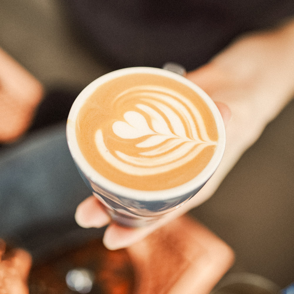 barista_intensivseminar_schwarzwild_kaffeeroesterei